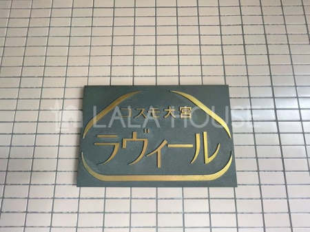 ̑ -