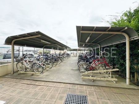 ̑ ֏͉tȂ̂ŁAJ̉ehƂł܂B