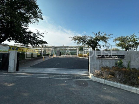 ӊ ܎swwZ k11B 1260m