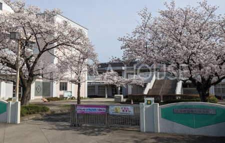 ӊ k{sۓwZ k22B 1730m