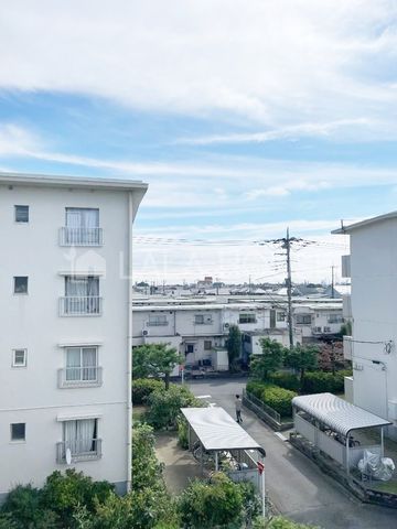 ̑ C]ɂǂoRj[􈳔̂Ȃ]Good!