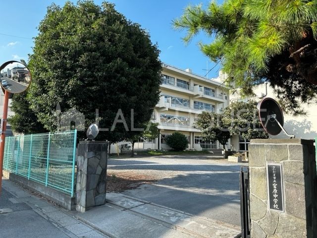 ���ӊ� �������܎s���{�����w�Z �k��19���B 1490m