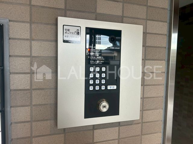 ̑ sR҂⊩UȂǂɗ̂hI[gbNtB