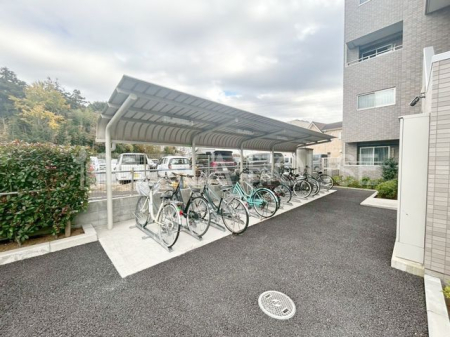 ̑ ֏͉tȂ̂ŁAJ̉ehƂł܂B