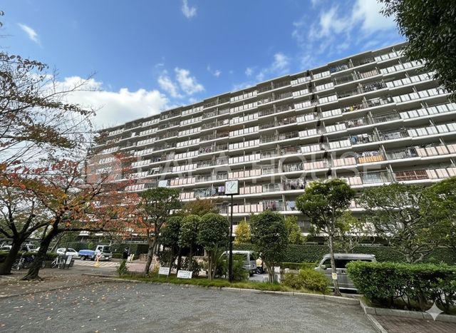 ���n�O�ώʐ^ ����w�w�k��6���I�C�g�[���[�J�h�[����w�O�X�k��9����y�b�g������V�ϐk��E�꓏���ː�258�ˊǗ��̐��ǍD�I