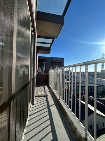 �o���R�j�[ ���󕨂������Ղ花����o���R�j�[��