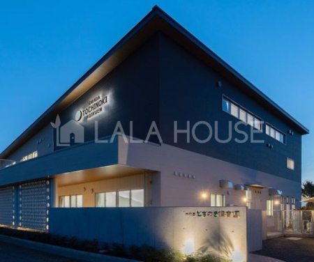 ���ӊ� ��a�c�Ƃ��̂��ۈ牀 �k��13���B 1030m