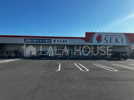 ���ӊ� �h���b�O�X�g�A�Z�L���{���X �k��5���B 390m