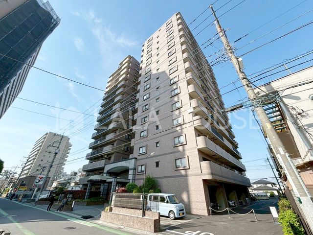 ���n�O�ώʐ^ ����w�k��5���̍D���n�����]�E�z����ǍD��