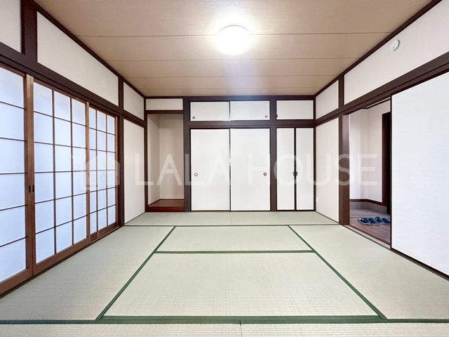 ���̑����� -