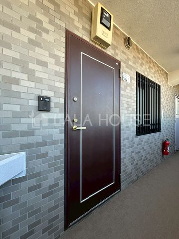 ���̑� ����