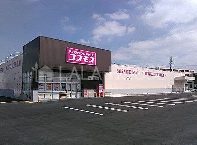 ���ӊ� �f�B�X�J�E���g�h���b�O�R�X���X����ΓX �k��4���B 250m