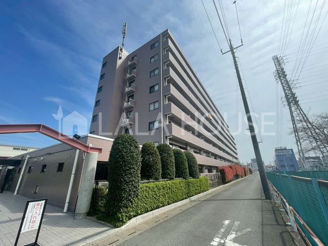 ���n�O�ώʐ^ ���{���w�k��4���I�{���w�k��15����2�H�����p�����I�R�[�k��2���E�h���b�O�Z�C���X�k��6����