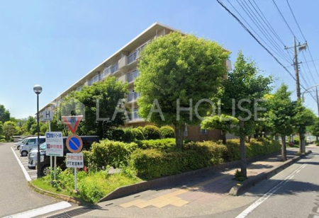 ���n�O�ώʐ^ �l�C�̕��������₢���킹�͑��߂����X�X���v���܂���