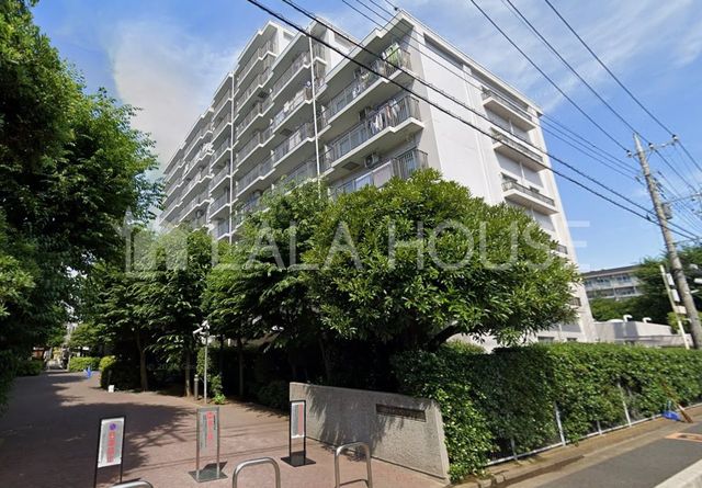 ���n�O�ώʐ^ �k�Y�a�w�k��6���I�y�b�g���V�ϐk���