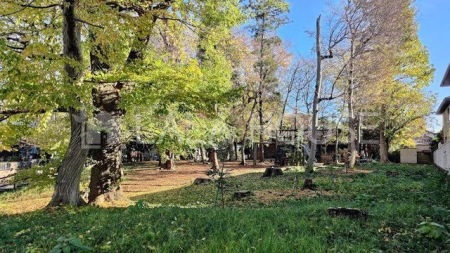 ���ӊ� �~�͒����Βn���� �k��9���B 720m