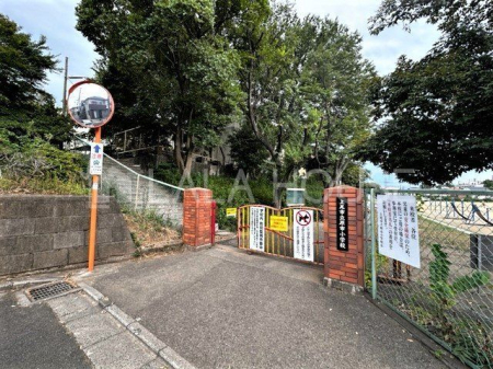 ���ӊ� ����s�����s���w�Z �k��14���B 1290m