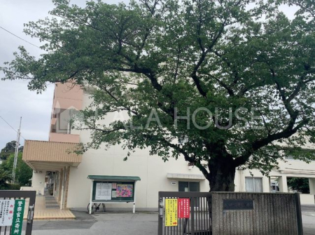 ���ӊ� �������܎s����Ώ��w�Z �k��13���B 1000m