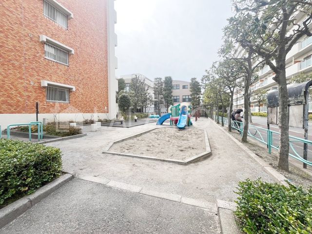 ���̑� �~�n������