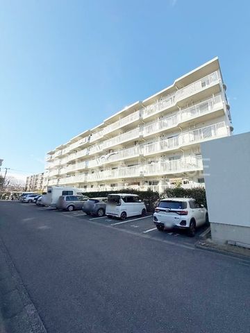 ���n�O�ώʐ^ �����w�k��13���I