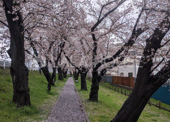 ���ӊ� �������ʂ���� �k��7���B 510m