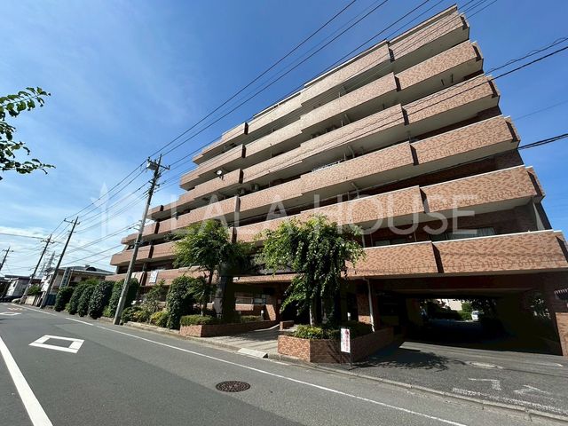 ���n�O�ώʐ^ ����w�k��9���I