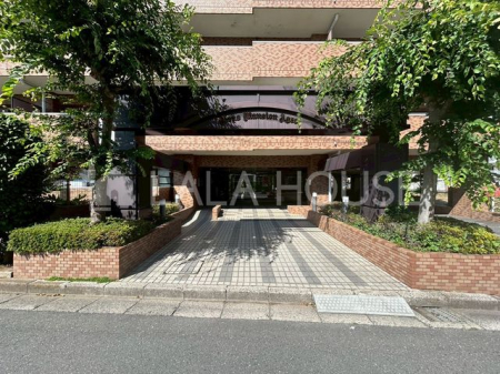 �G���g�����X -