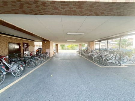 ���̑� ���֏�͉����t���Ȃ̂ŁA�J���̉e����h�����Ƃ��ł��܂��B