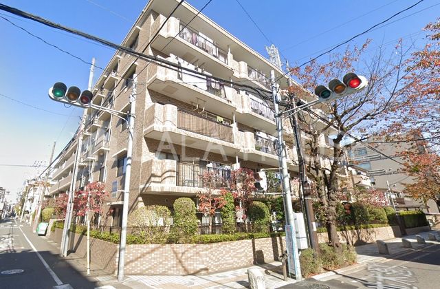 ���n�O�ώʐ^ ��{�w�k��10���I�y�b�g����������w�Z�k��4��������