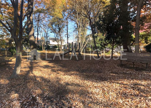 ���ӊ� ���J���R�̐X �k��17���B 1320m