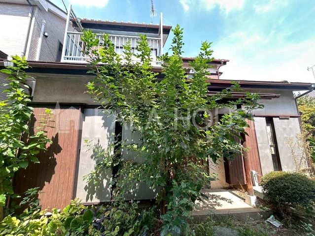 ���n�y�n�ʐ^ -