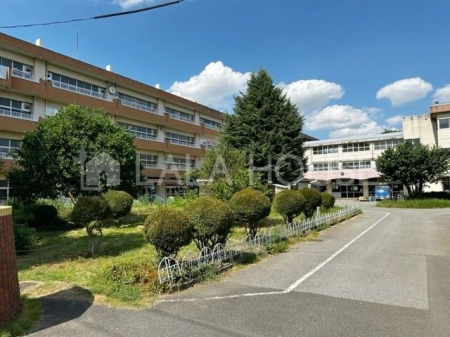 ���ӊ� �������܎s���A�|���w�Z �k��7���B 600m