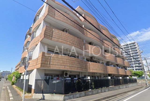 ���n�O�ώʐ^ ��{�����w�k��11���I�y�C�w�k��13���B��{�w�o�X15���u�~�͒����v���2���I�X�e���^�E����{�܂œk��13����