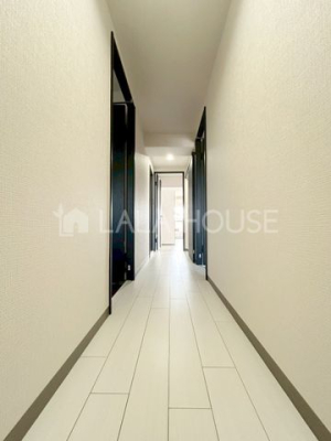 ���̑����� -