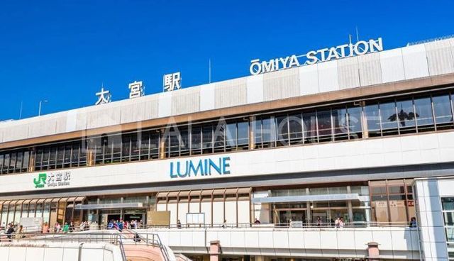 ���ӊ� ��{�w(���� ��c��) �k��59���B�o�X25���u��J�v���6���B 4650m