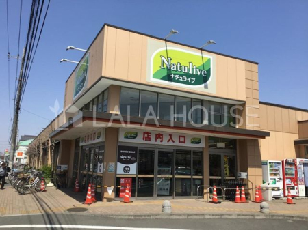 ���ӊ� TAIRAYA����X �k��13���B 980m