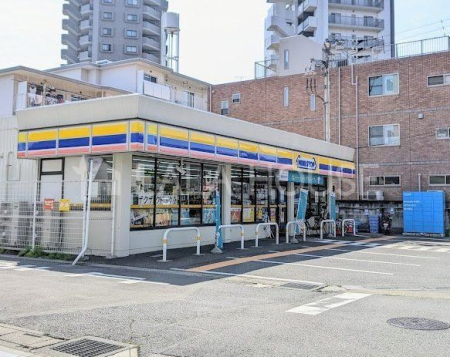 ���ӊ� �~�j�X�g�b�v�y�C�w�O�X �k��7���B 490m