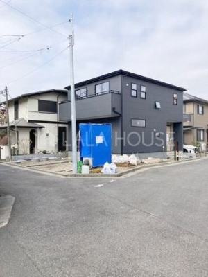 ���n�O�ώʐ^ -