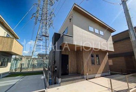 ���n�O�ώʐ^ ��a�c�w�k��15���I