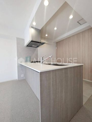 �L�b�`�� �����������Ƒ��ƌq����Ζʎ��L�b�`����