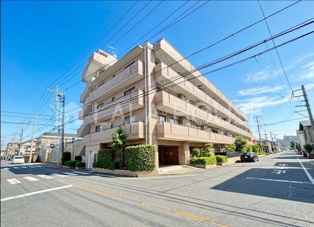 ���n�O�ώʐ^ �k����w�k��10����X�[�p�[�E�R���r�j�E�h���b�O�X�g�A�E�����k��5��������