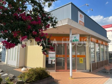 ���ӊ� �k����w�O�X�֋� �k��12���B 910m