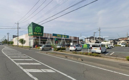 ���ӊ� �}�~�[�}�[�g�����c�X �k��10���B 790m