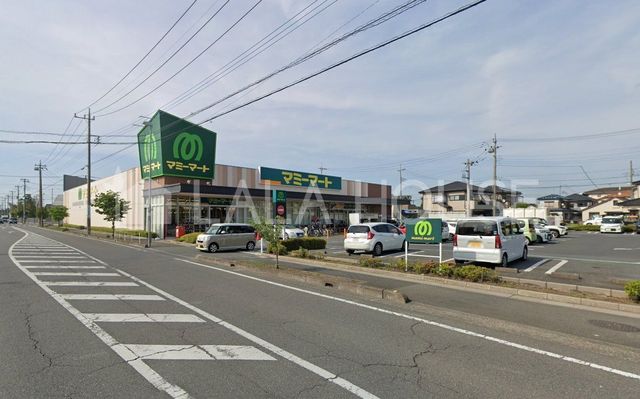 ���ӊ� �}�~�[�}�[�g�����c�X �k��10���B 790m