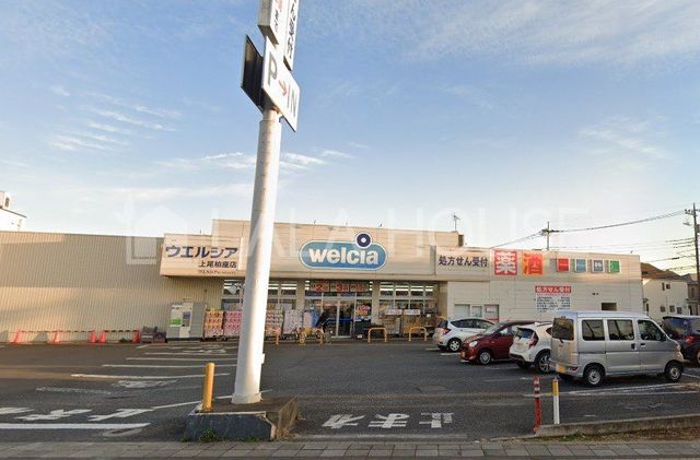 ���ӊ� �E�G���V�A��������X �k��14���B 990m