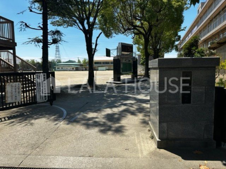 ���ӊ� ����s����Ώ��w�Z �k��19���B 1450m