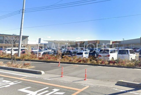 ���ӊ� �J�X�~�t�[�h�X�N�G�A�t���X�|�����c�X �k��8���B 490m