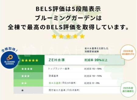 ���̑� BELS�]��