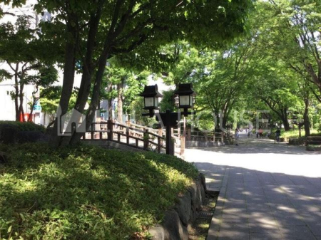 ���ӊ� �X��Βn �k��15���B 1170m