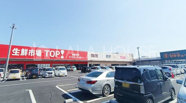 ���ӊ� �}�~�[�}�[�g���N�s��TOP�Z�L�`���[����X �k��8���B 550m